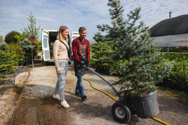 Lawn Maintenance Plans in Niles, IL